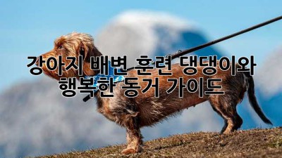 강아지 배변 훈련: 댕댕이와 행복한 동거 가이드